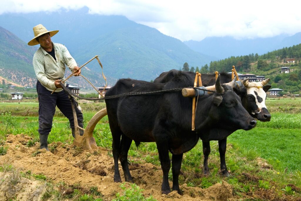 Bauer bei der Arbeit in Bhutan - Rundreise Nepal und Bhutan