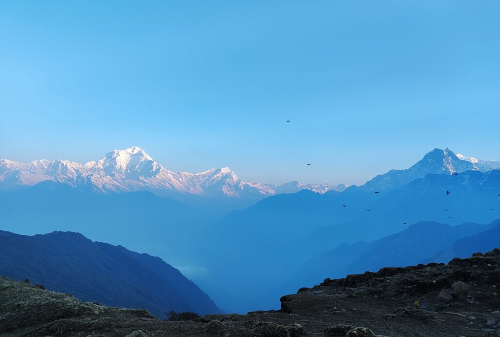Auf Khopra Danda 3660m, mit Blick auf den Dhaulagiri 8167m