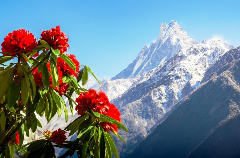 Machapuchare, berühmter Berg Annapurna Region