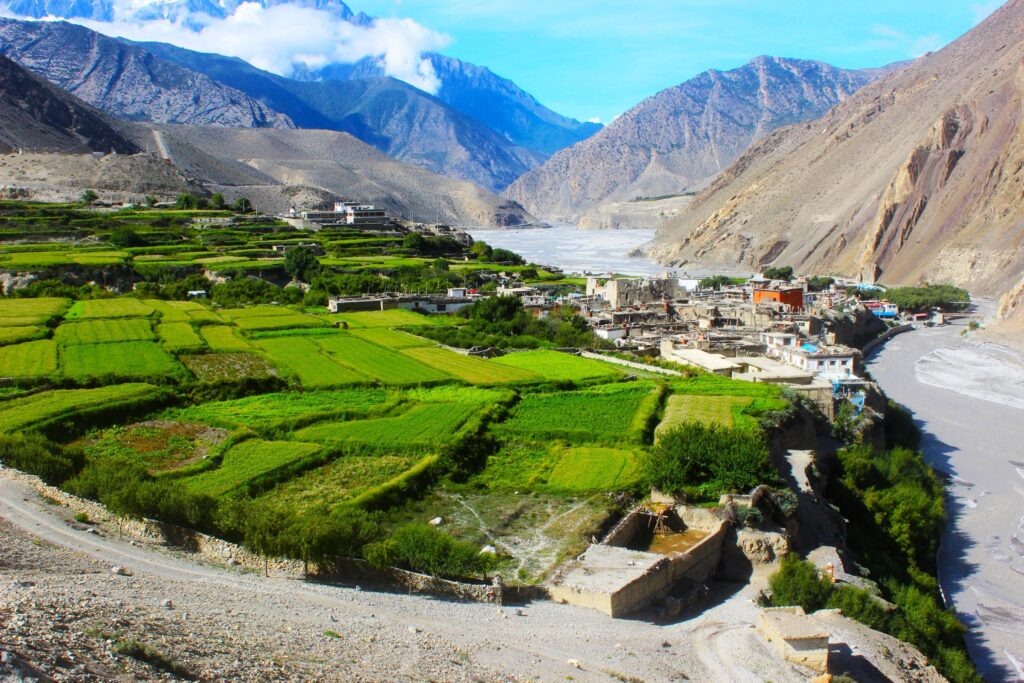 Saftig grüne Reisefelder in der Upper Mustang Region
