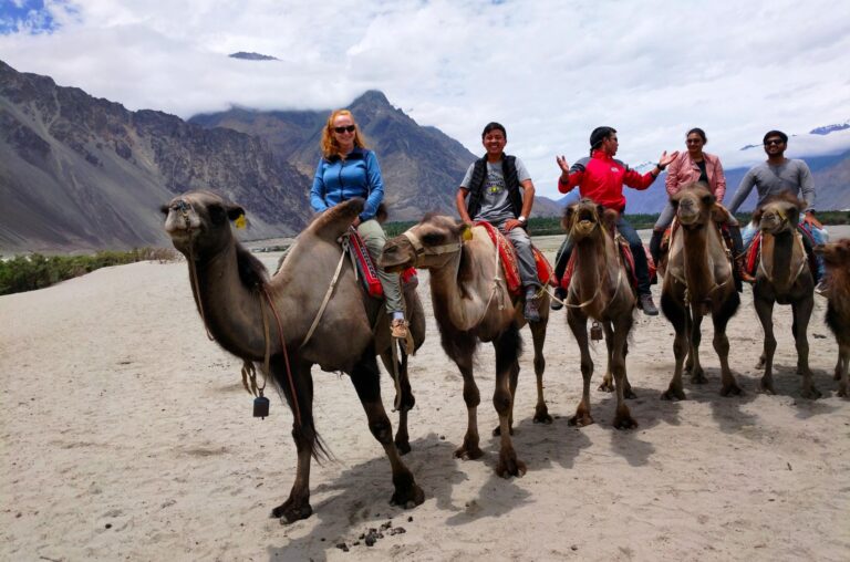Kamelreiten in Nubra Tal