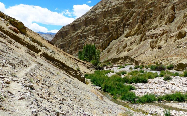 Trekking in Sham Valley
