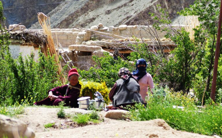 Sham Valley Trekking in Ladakh