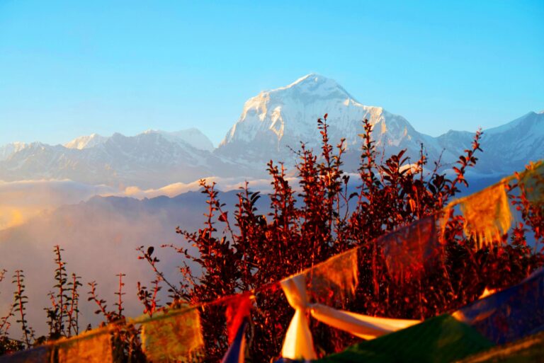 Am Poon Hill Blick auf Dhaulagiri, Annapurna Trekking Nepal