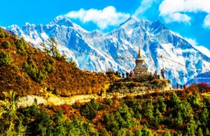 Annapurna und Everest Trekking – Flora, Fauna und die Eisgiganten