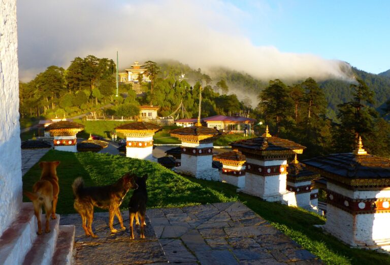 Dochu La Pass mit 108 Stupa - Bhutan Reisen