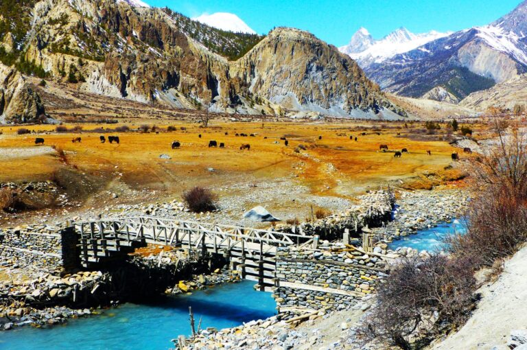 In Manang, Annapurna Runde Trekking in Nepal