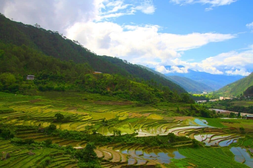 Tal mit grünen Reisfeldern in Ostbhutan