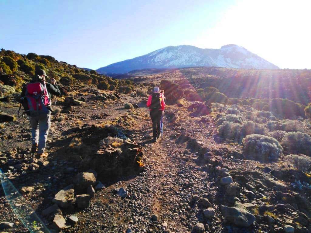 Auf die höchsten Gipfel Tansanias – Mt. Meru & Kilimandscharo Machame Trek