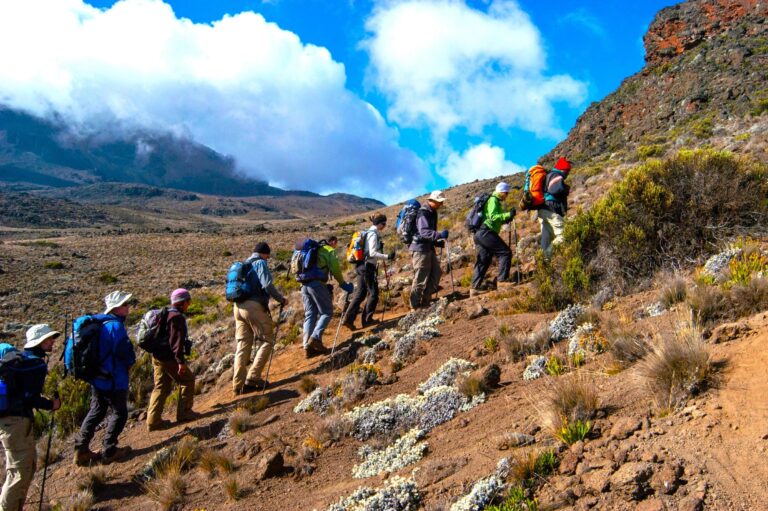 Trekker auf dem Weg zum Uhuru Peak, Kilimandscharo Macheme Trekking