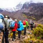 Lemosho Trekking - Trekker auf dem Weg zum Gipfel von Kilimandscharo