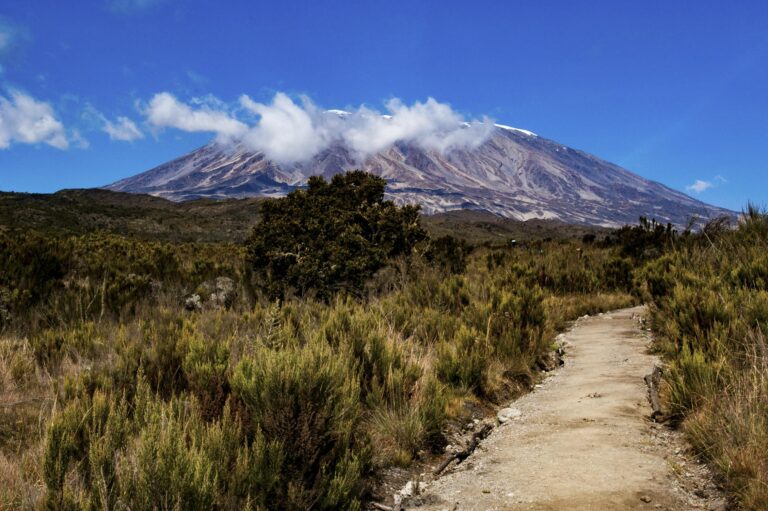 Lemosho Trekking Route - in Blick Kilimandscharo