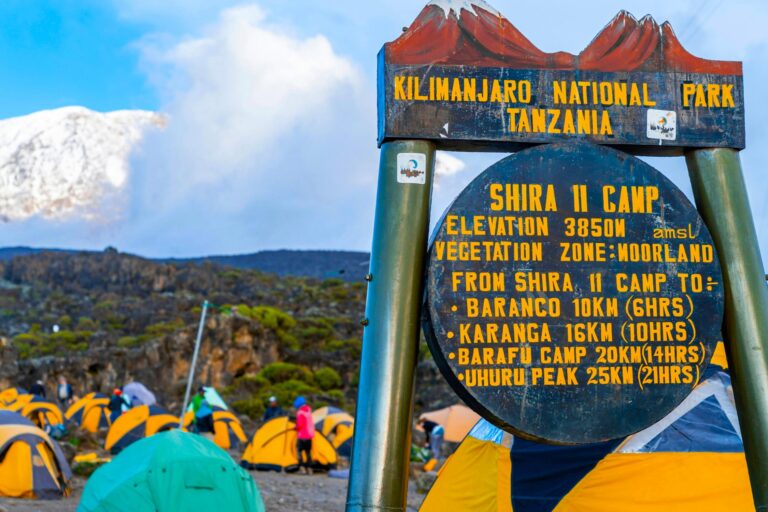 Lemosho Trekking - Shira Camp 2 - Tansania Trekking mit geoDiscovery Tours