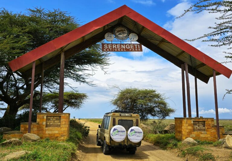 Am Gate der Serengeti - Safarireisen Tansania mit geoDiscovery tours
