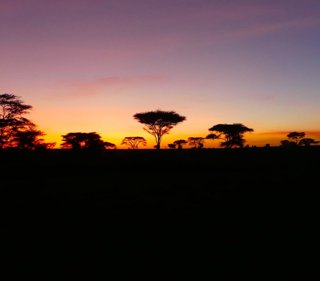 Sonnenaufgang Safari Tansania