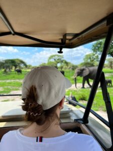 Tarangire National Park, Elefanten