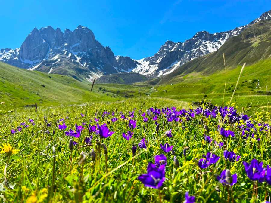 Zu den Perlen des Kaukasus – Kultur- und Wanderreise in Georgien und Armenien