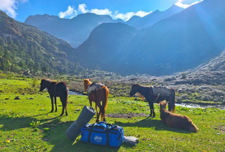 Zelt-Trekking Druk Path mit Pferde und Bergblick