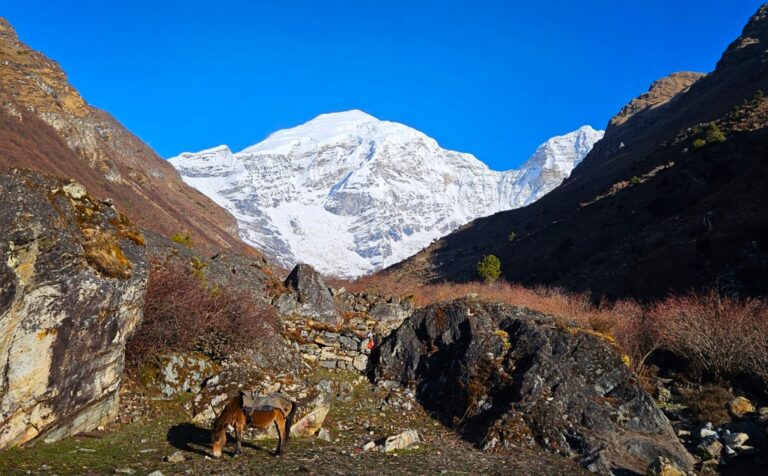 Chomolhari Base Camp, Bhutan Trekking