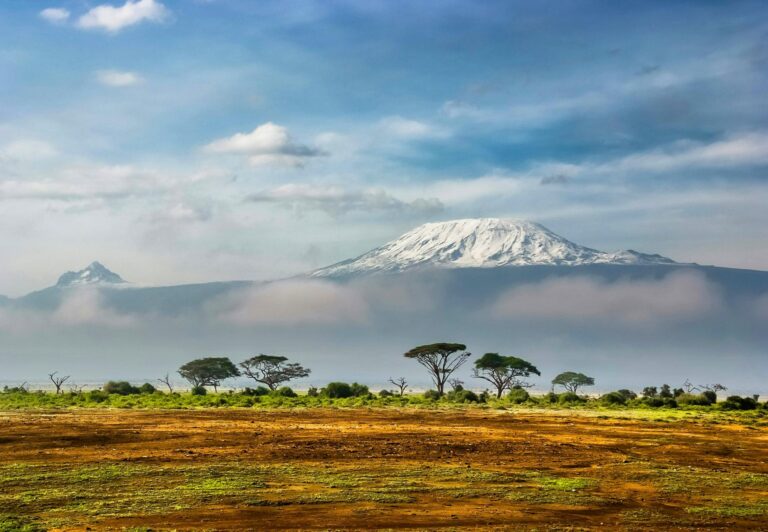 Blick auf den Mt. Kilimandscharo 5895m, Tsavo West