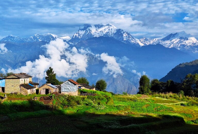 Blick auf Dhaulagiri von Swanta aus. Nepal-Trekking