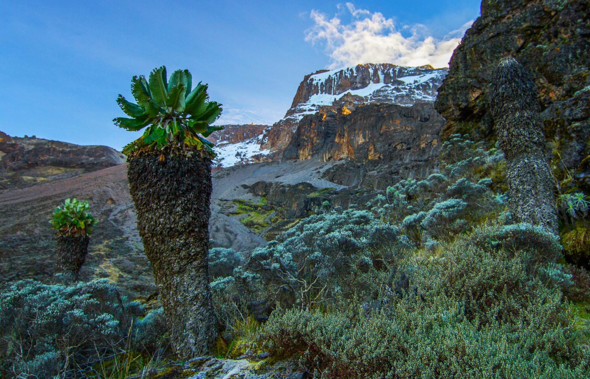 Kilimandscharo Trekking Machame Route