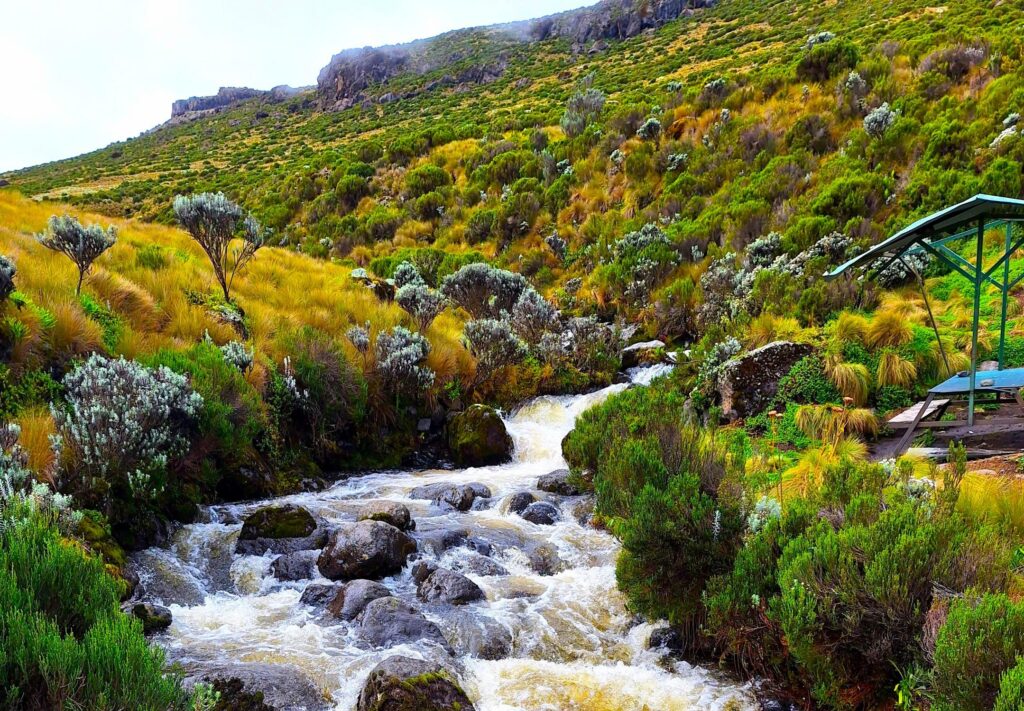 Fluss auf dem Weg zum Mt. Kenya, Point Lenana 4985m