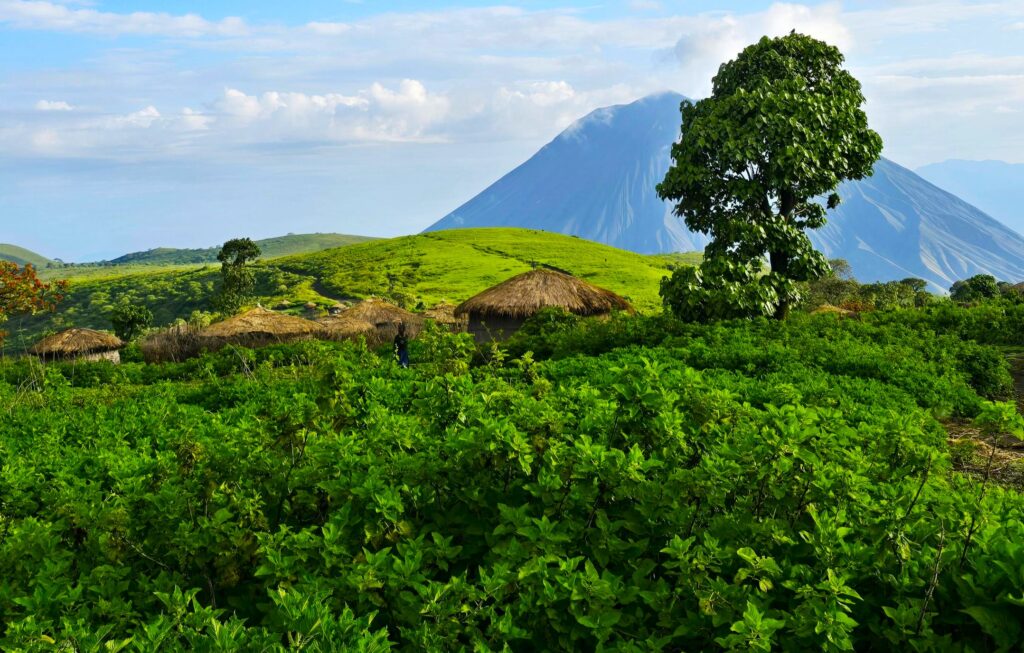 Ngorongoro Highland Trekking mit Safari und Sansibar