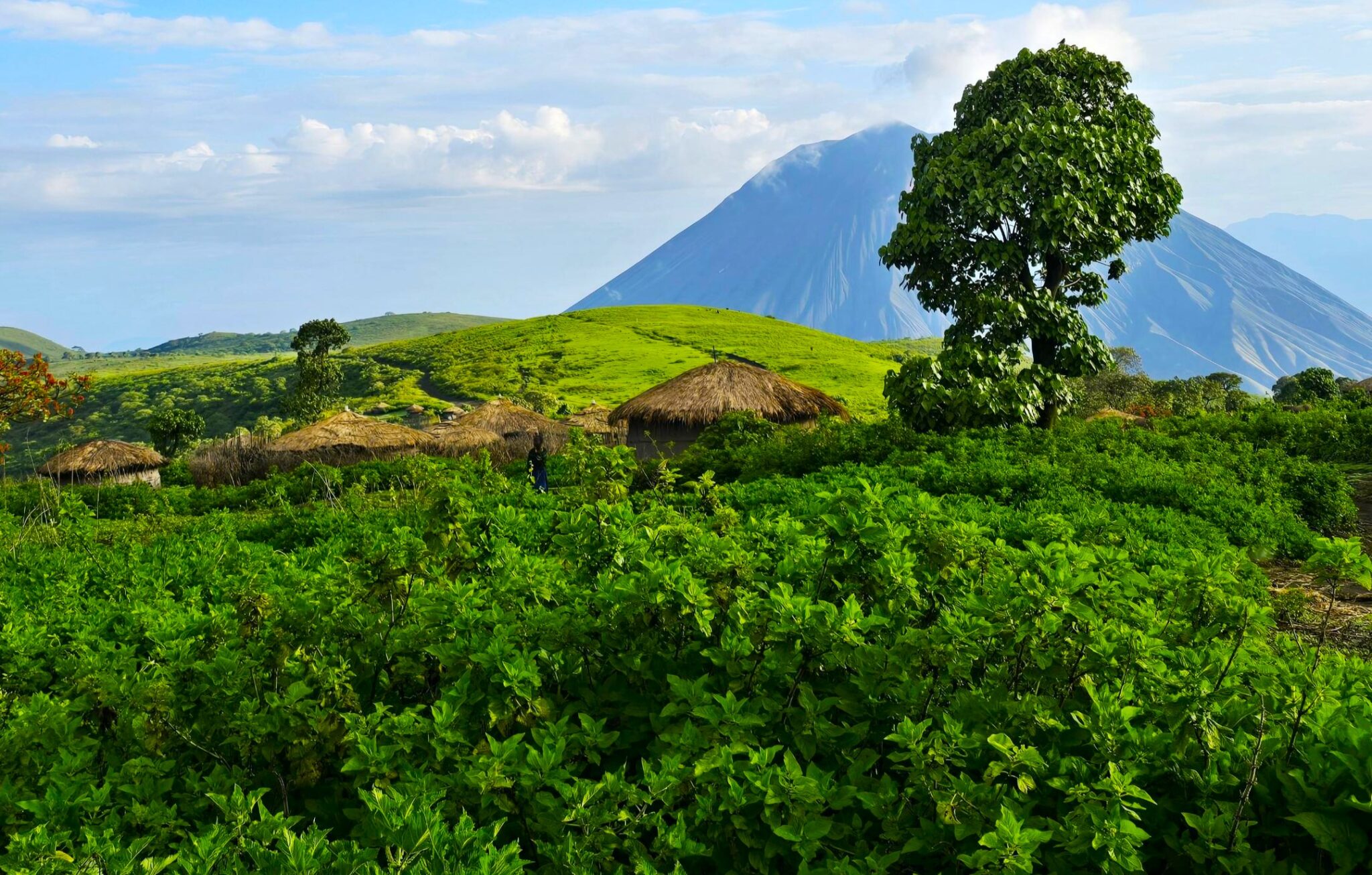 Ngorongoro Highland Trekking mit Safari und Sansibar