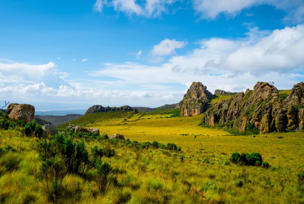 Reisebaustein: Wanderung am Mount Kenya und in den Aberdares