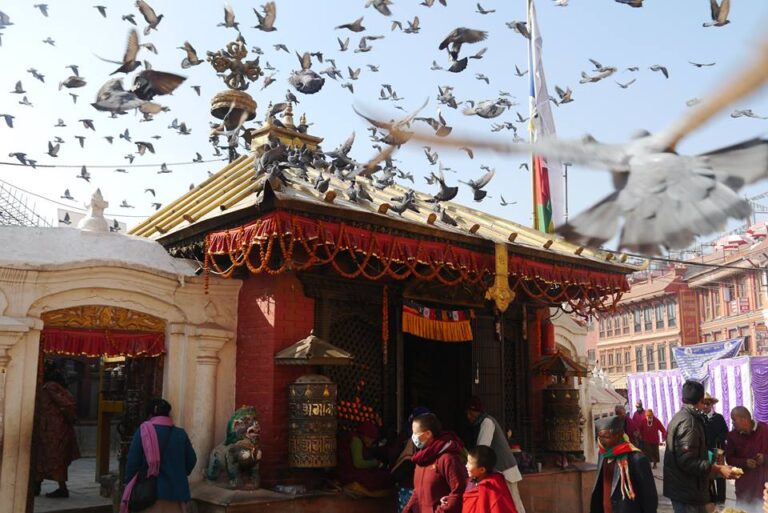 Nepal News