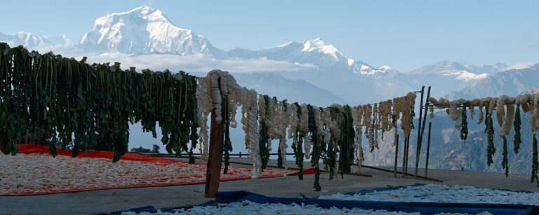 Die Annapurna Region – Flora & Faune und die Hochgebirgslandschaften