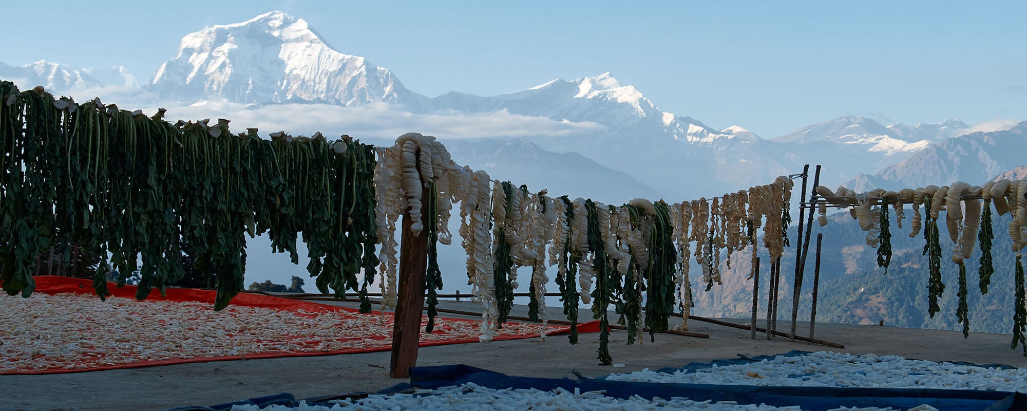 Die Annapurna Region – Flora & Faune und die Hochgebirgslandschaften