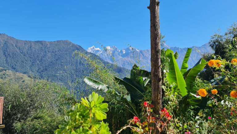 Jiri Region in Nepal mit Flora