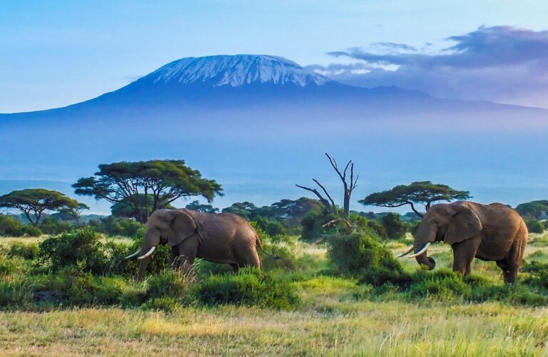 NEU – NEU – NEU bei uns! | TANSANIA Trekking & Safari Reisen