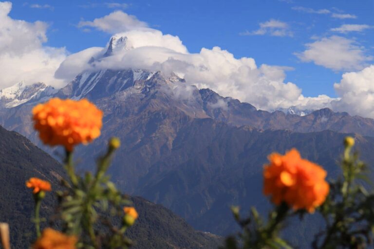 Our first trek in the breathtaking Himalayas will stay with us!
