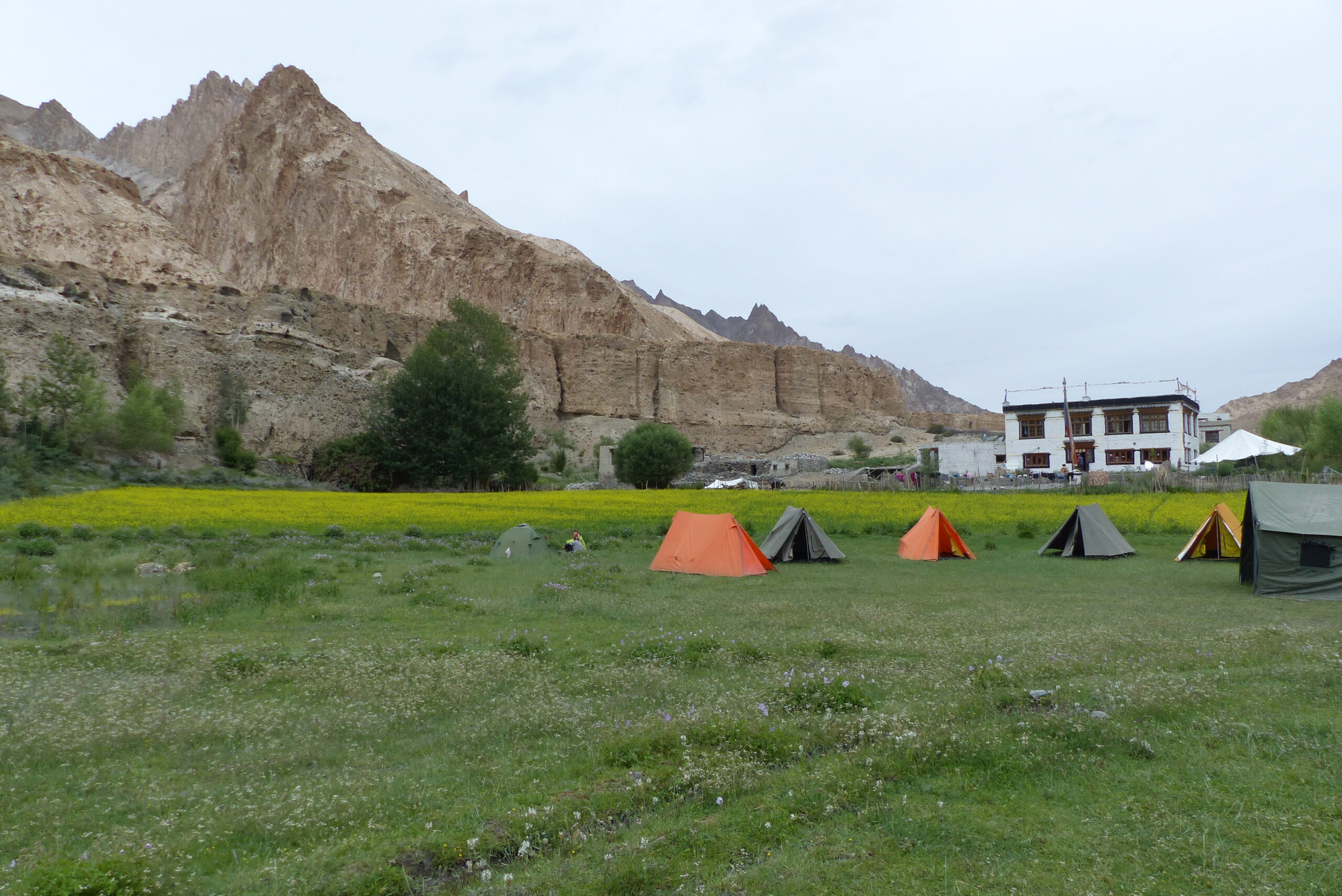 Ladakh - Markha Valley Camping Trekking (50)